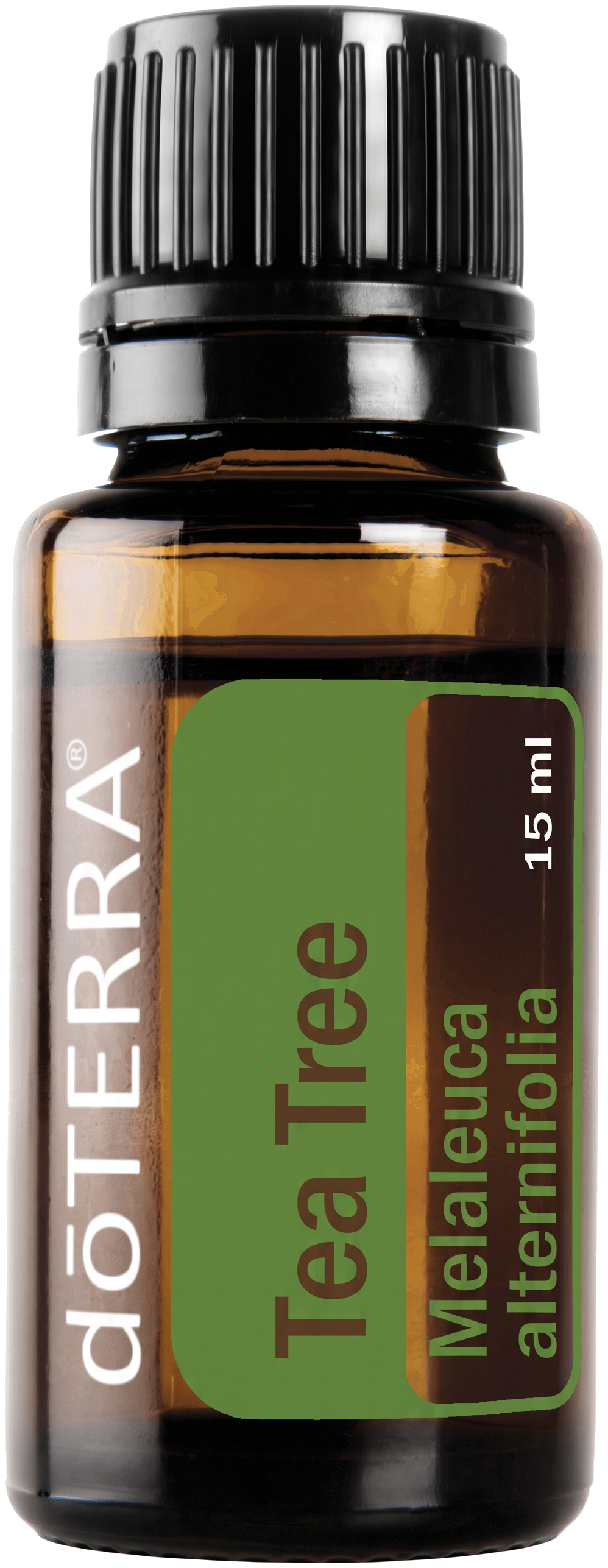 dōTERRA Teebaum (Tea Tree) – offizielle Produktabbildung